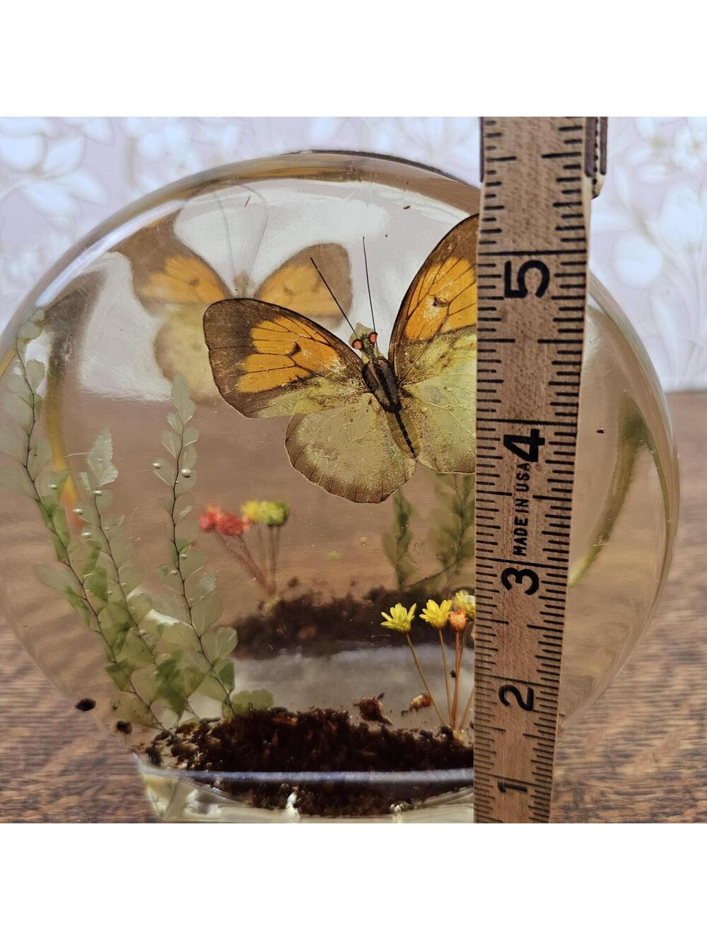 Vintage Lucite Real Butterfly Letter Holder Resin Napkin Holder Nature Diorama - Picture 7 of 11